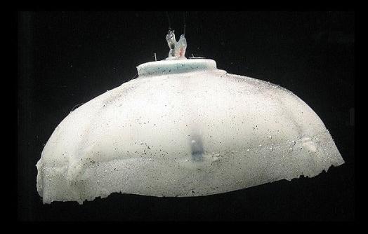Робот-медуза получает энергию из воды