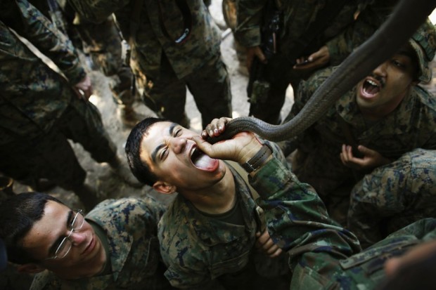 A U.S. Marine drinks the blood of a cobra during a jungle survival exercise at a military base in Chon Buri province